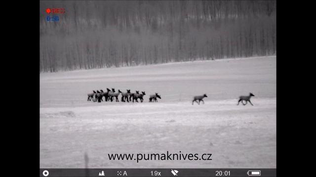 PULSAR Helion XP38 Jelení zvěr смотреть онлайн