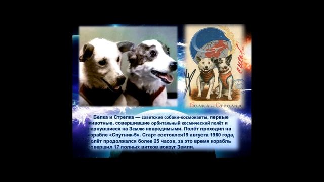 Презентация 