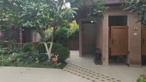 Hotel "Comfort"**** г. Сухум_Доступная среда в г. Сухум (Абхазия)_1 часть.