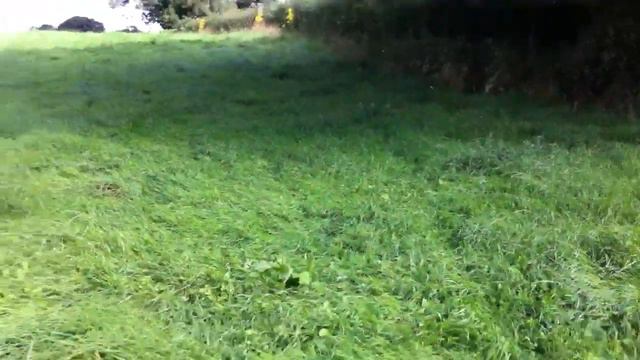 Eric and cash смотреть онлайн