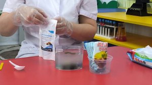 Детское экспериментирование "Юный исследователь" (Химические водоросли)