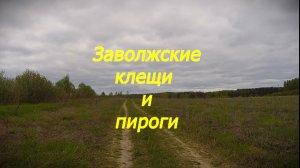 Заволжские клещи и пироги