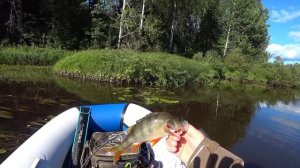 СПИННИНГ с лодки по малой реке Урала