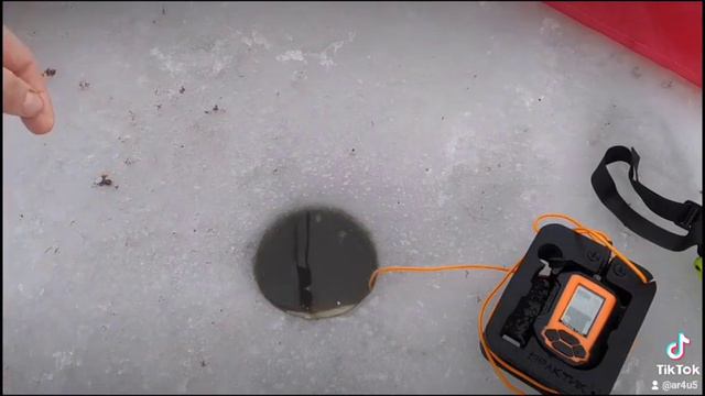 Вываживания леща смотреть онлайн