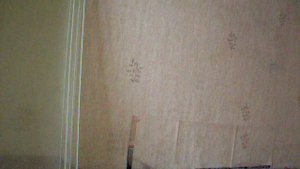 Заброшенная квартира в 9-ти этажке