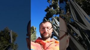 Останусь ли я прежним? Грибной трип! ?