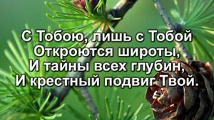 В березовом краю