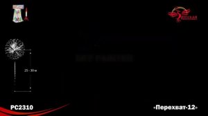 Перехват-12 (РС2310)