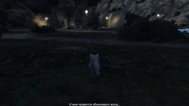 ЛОФОФОРЫ: В ЭТОЙ ИГРЕ МОЖНО ИГРАТЬ ЗА ЖИВОТНЫХ? (ПРОХОЖДЕНИЕ GTA V #72) смотреть онлайн