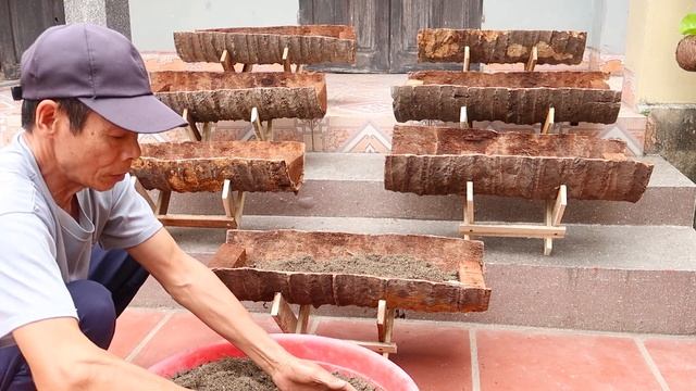 Brilliant idea | Use Coconut Trees to Grow Purple Lettuce at Home - TEO Garden смотреть онлайн