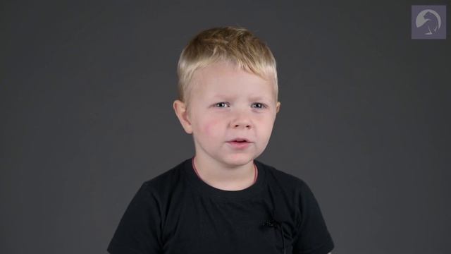 Гончар Максим, 4 года смотреть онлайн