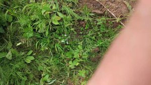 Застряли на УАЗе  в грязи по самую раму. Опять спасли самовытаскиватели