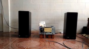 test Microlab Solo 7C #2