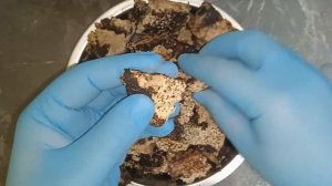 Грибная ферма "Добрый Друг" ферментированный мицелий гриба ежевик гребенчатый на зерновом субстрате