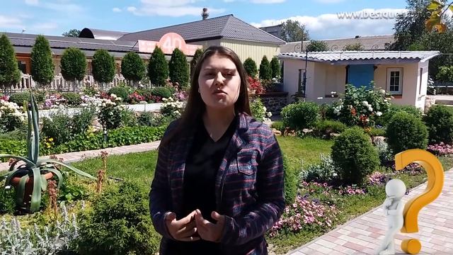 Что значит "разочарование": это когда в животе бабочки сдохли или тараканы в голове?