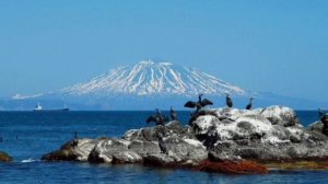 Сахалинская область «Тятя»