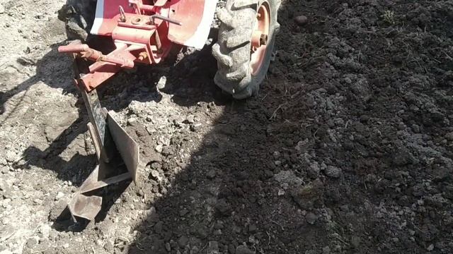 Как сажать картошку мотоблоком.