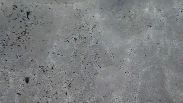 P5260223 Камбала смотреть онлайн