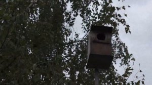 Центр практической психологии и реабилитации РЦ «Сибиряк»