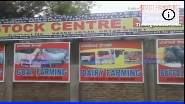 How to start poultry farm, how to start bussines from home, how to earn money from home,home busine