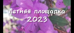 Летняя площадка! ДДК им.Д.Н.Пичугина, Новосибирск, 2023.