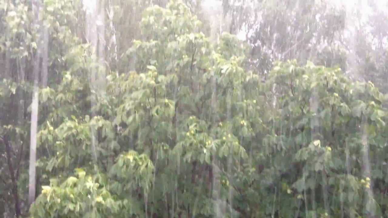 Град в Ульяновске 19_07_2012