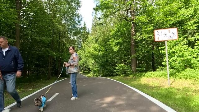 Решив сорвать свадьбу дочери богатый отец позвал в ЗАГС бывшего зятя… А едва муж и жених встретилис смотреть онлайн