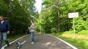 Решив сорвать свадьбу дочери богатый отец позвал в ЗАГС бывшего зятя… А едва муж и жених встретилис