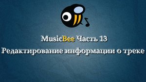 MusicBee на РУССКОМ часть 13 Редактирование информации о треке