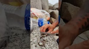 Сходили на морскую рыбалку с берега на Пхукете.