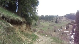 ФИЛософия на природе – Творчество и человек