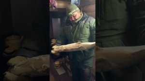 Огромная мороженная щука попалась на Ямале