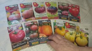 Какие томаты выбрать от Аэлиты. Цена, качество-обзор.