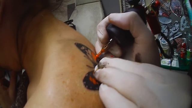 бабочка смотреть онлайн