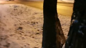 Вечерняя прогулка в Брянске (из архива) 08.12.2021.