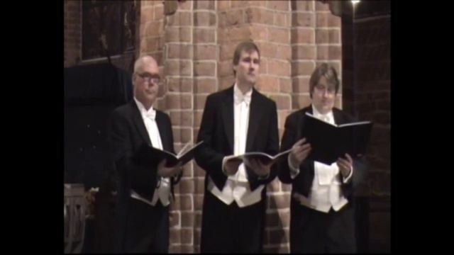 Mats Calvén, Glenn Bengtsson and Stellan Dahlin sing Nu tändas tusen juleljus in 2009 смотреть онлайн