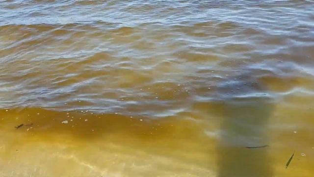 Грязная вода на пляже Чавенг. Самуи - Таиланд.  Chaweng beach. Что это?