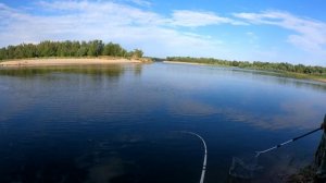 Сазанчик на донку