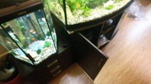 Знакомство с Aquael Ultramax 2000!!!часть 2