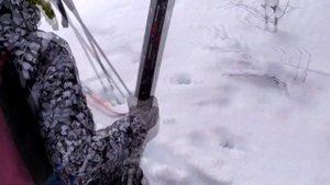 Обзор лыжных креплений NNN и NN75