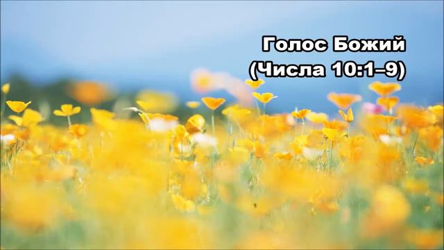 Тихое время в Живой Жизнью: Числа 10:1–10 (01062017) смотреть онлайн