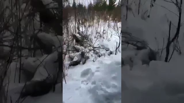 Видео предположительно слежки за Ильей Кивой.