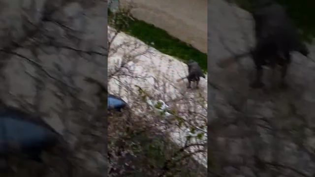 Вопрос, зачем убирать дорогу???!!! смотреть онлайн