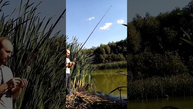 Самый быстрый клев