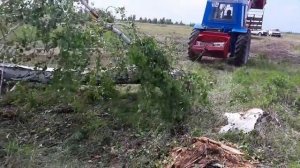 Один день работы в лесу. пилим дрова штиль 310. вытаскивает т 40.