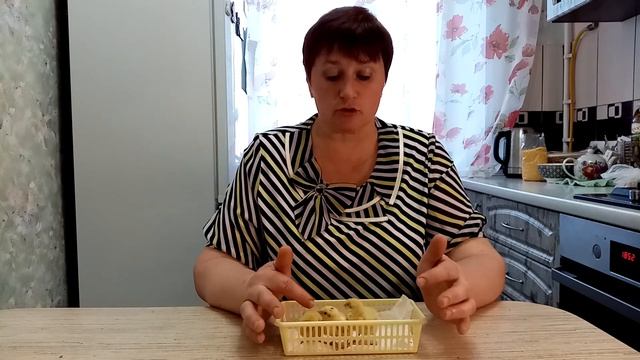 Техасские перепела. Кормление и содержание суточных перепелят.
