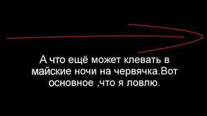 Открытие-Ночная рыбалка МАЙ 2019!Светлячок-маячок!