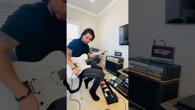 Shecter Sun Valley Super Shredder PT modified Tone Vise Dtuner / volume knobs position switched смотреть онлайн