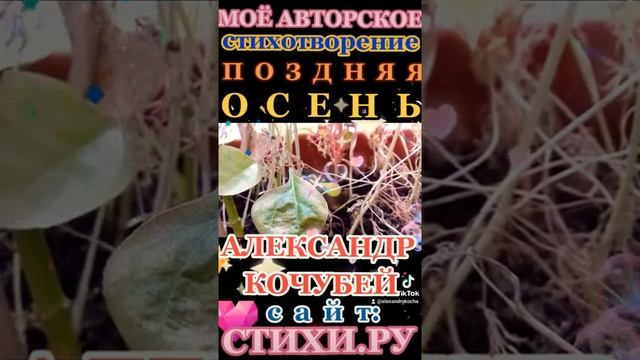 "Поздняя ОСЕНЬ", — моё авторское стихотворение!/АЛЕКСАНДР КОЧУБЕЙ на сайте СТИХИ.РУ; /ЛЕВ ВИРШ=Ютуб