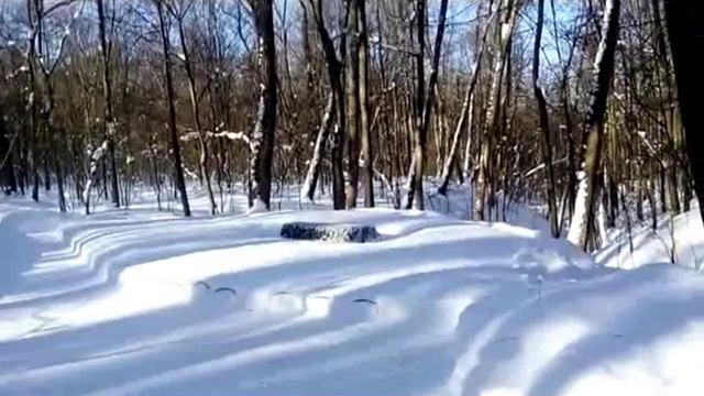 На могиле Толстого Л Н  Часть 3